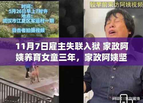 家政阿姨坚守与责任,育婴三年的故事,雇主失联入狱下的感人篇章
