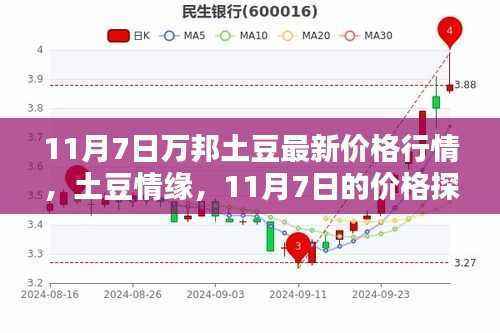 11月7日万邦土豆行情揭秘，价格探秘与家的温馨时光