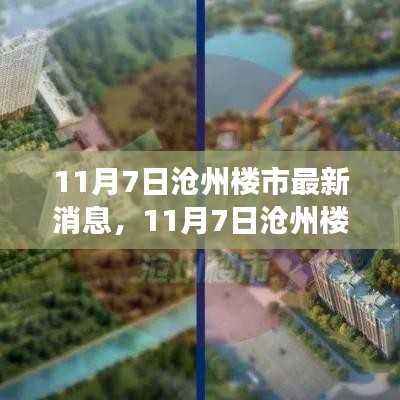 11月7日沧州楼市最新动态及市场走势解析,热门楼盘与行业洞察
