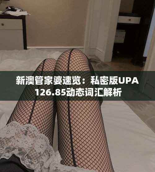 新澳管家婆速览:私密版UPA126.85动态词汇解析