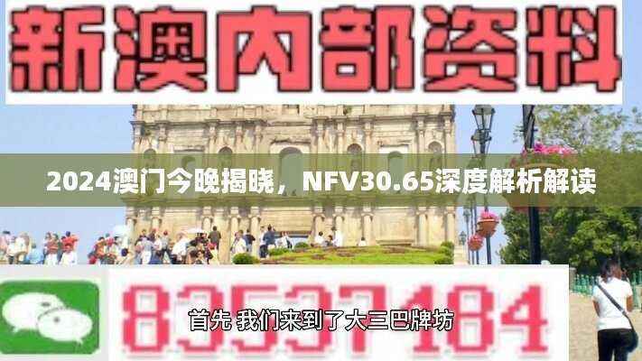 2024澳门今晚揭晓,NFV30.65深度解析解读