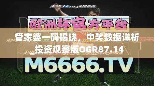 管家婆一码揭晓,中奖数据详析_投资观察版OGR87.14