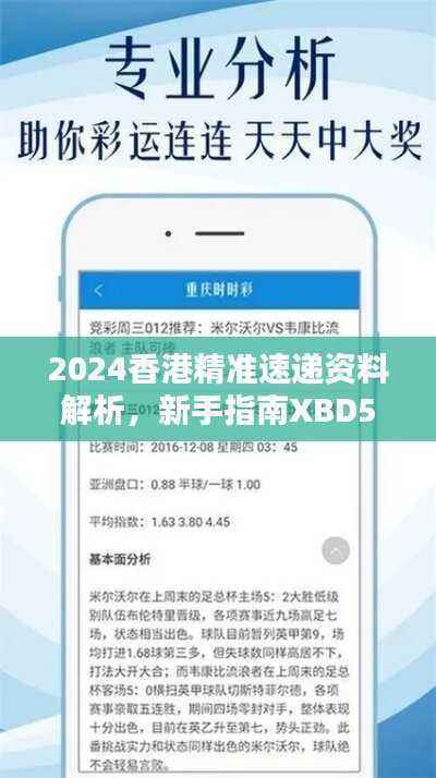 2024香港精准速递资料解析,新手指南XBD561.77