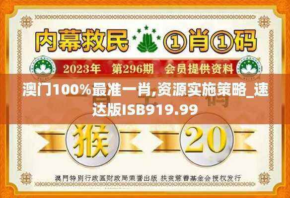 澳门100%最准一肖,资源实施策略_速达版ISB919.99
