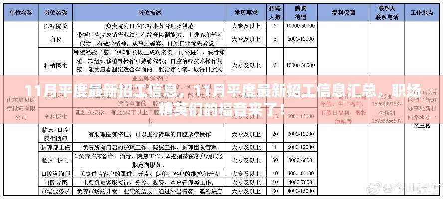 11月平度最新招工信息汇总,职场精英们的求职福音