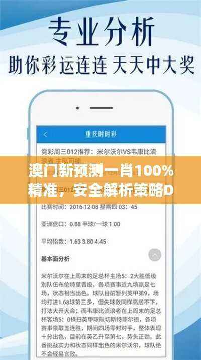 澳门新预测一肖100%精准,安全解析策略DHP264.63优级版