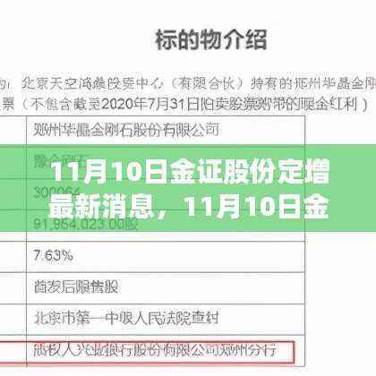11月10日金证股份定增最新消息,深度解读与前景展望