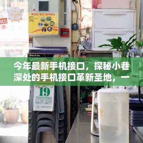 探秘小巷深处的手机接口革新圣地,特色小店独特风采揭秘