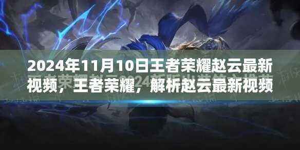 王者荣耀赵云最新视频解析(2024年11月版)