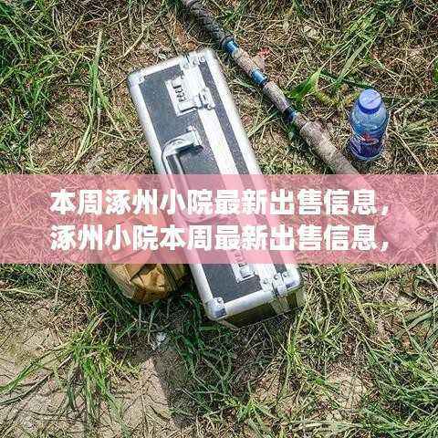 涿州小院本周最新出售信息揭秘,历史脉络、影响与地位全解析