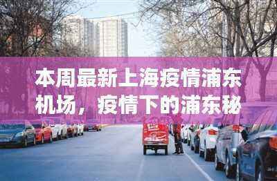 疫情下的上海秘境,浦东机场与小巷小店的最新观察