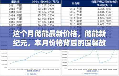 本月储能最新价格揭秘,储能新纪元背后的温馨故事
