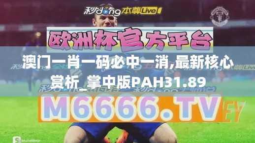 澳门一肖一码必中一消,最新核心赏析_掌中版PAH31.89