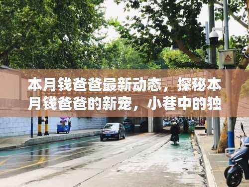 本月钱爸爸的新宠揭秘,小巷独特风味小店探访动态