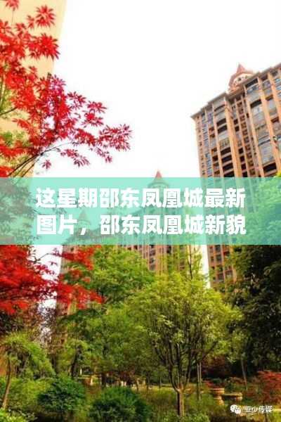 邵东凤凰城新貌揭秘,本周最新图片一览