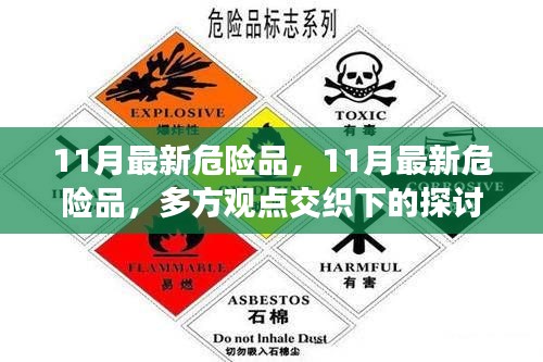 多方观点交织下的探讨与解析,11月最新危险品