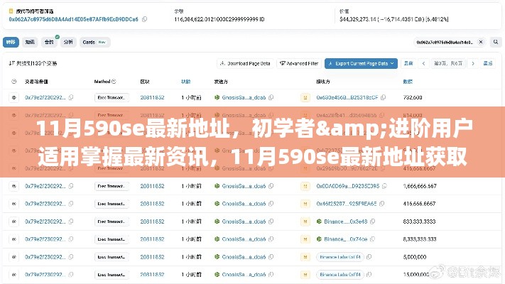 11月590se最新地址获取全攻略,适合初学者与进阶用户掌握最新资讯