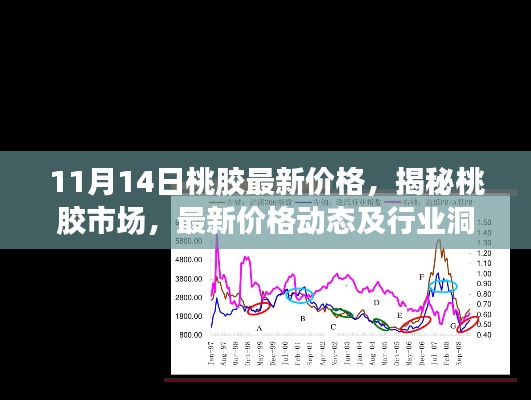 揭秘桃胶市场,最新价格动态与行业洞察(以桃胶价格行情为例)