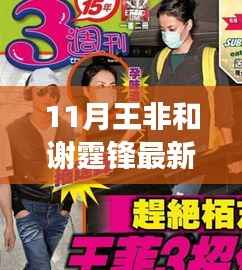 揭秘王非与谢霆锋十一月动态,追踪明星最新消息的轻松途径