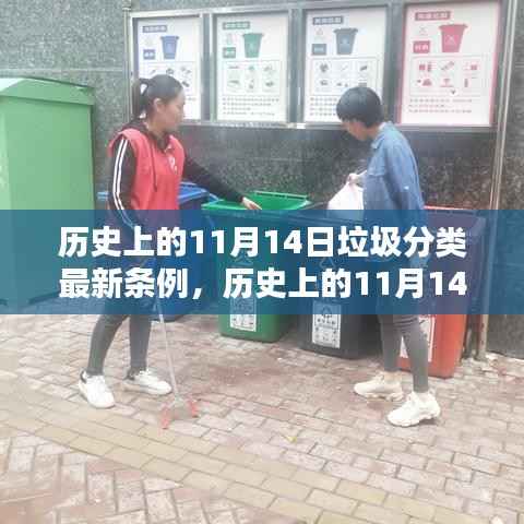 历史上的11月14日,垃圾分类最新条例的出台与实施概览