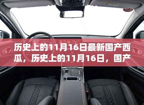 国产西瓜新篇章,历史上的11月16日回顾与展望