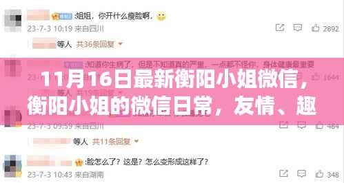 衡阳小姐微信日常,友情、趣事与温暖的十一月时光