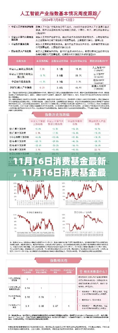 最新消费基金评测报告,聚焦11月16日消费基金产品及市场动态