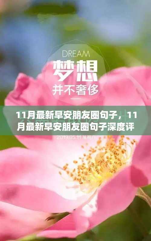 11月最新早安朋友圈句子,深度评测与介绍