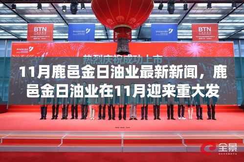 鹿邑金日油业11月迎来重大发展,最新新闻与产业背景分析