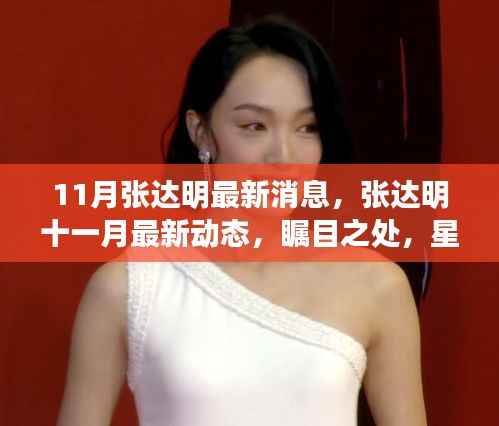 张达明十一月最新动态,星光依旧闪耀,瞩目之处引人关注