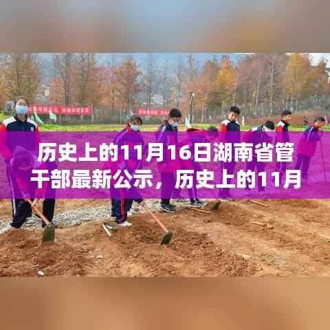 多维度视角下的探讨,历史上的11月16日与湖南省管干部最新公示分析