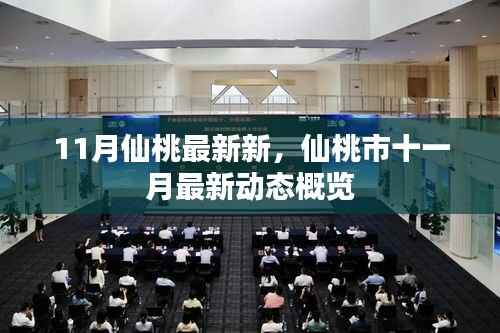 仙桃市十一月最新动态概览,最新仙桃新闻与资讯更新