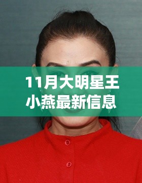 11月大明星王小燕最新动态及正反观点分析