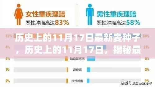 揭秘,最新麦种子神奇之旅的历史篇章(11月17日回顾)