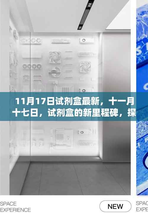 十一月十七日最新试剂盒里程碑,探寻足迹与未来展望