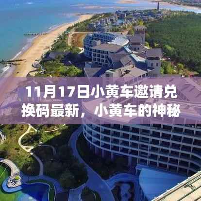 秋日暖阳下的温情故事,最新小黄车神秘兑换码分享