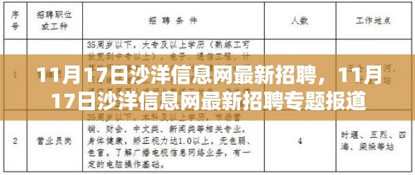 11月17日沙洋信息网招聘专题报道