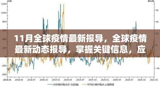 全球疫情最新动态与应对指南,掌握关键信息,挑战疫情的步骤报告