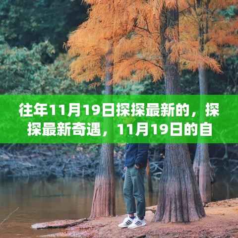 探探最新奇遇,自然美景之旅,寻找内心的宁静与欢笑在11月19日这天绽放光彩
