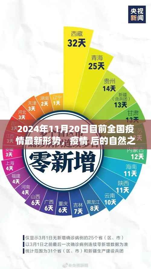 全国疫情最新形势下的自然之旅探索与内心宁静寻找(2024年11月20日)