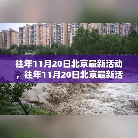 北京往年11月20日最新活动深度解析与观点阐述,精彩瞬间一网打尽!