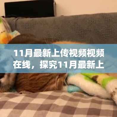 探究最新上传视频在线,内容与观看方式的热议