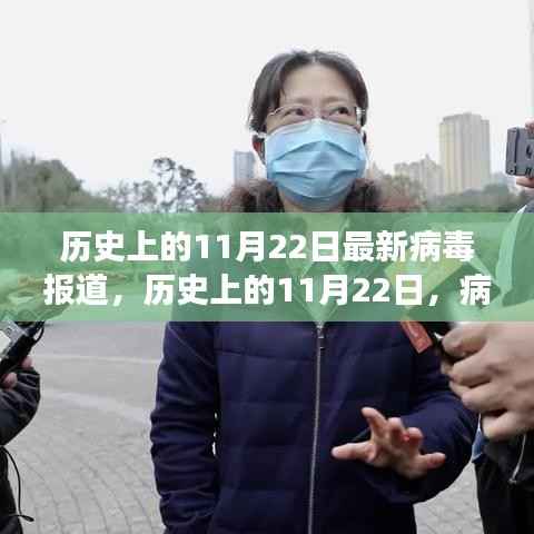 历史上的11月22日病毒报道下的自然治愈之旅,寻找内心的平和绿洲