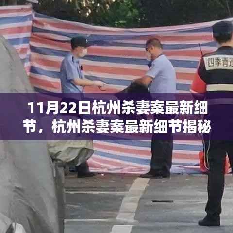 杭州杀妻案最新进展与细节揭秘,深度解析案件进展与疑点