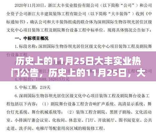 历史上的11月25日，大丰实业公告引领时代风潮，热门公告揭秘