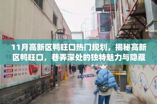 揭秘高新区鸭旺口,独特魅力与美食宝藏的热门规划之旅