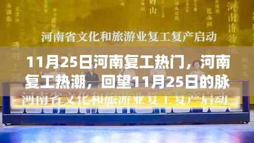 回望11月25日,河南复工热潮的脉动与影响
