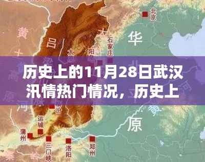 历史上的11月28日武汉汛情深度解析与热门情况回顾