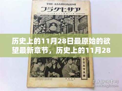历史上的11月28日,最原始的欲望与温馨日常的交织