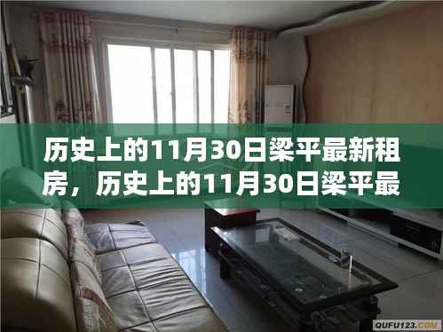 历史上的11月30日梁平最新租房,深度测评与用户体验分析